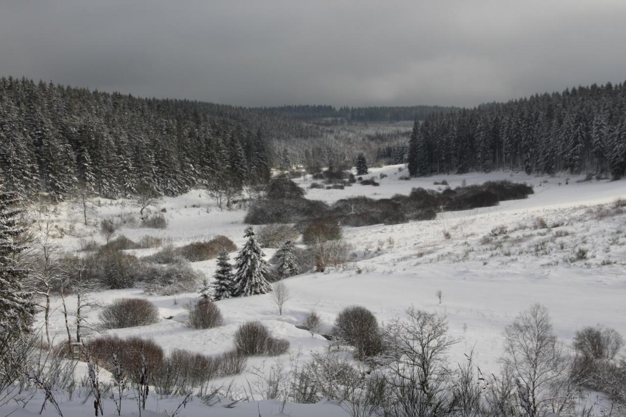 Le Nid Des Mesanges Villa Büllingen Buitenkant foto
