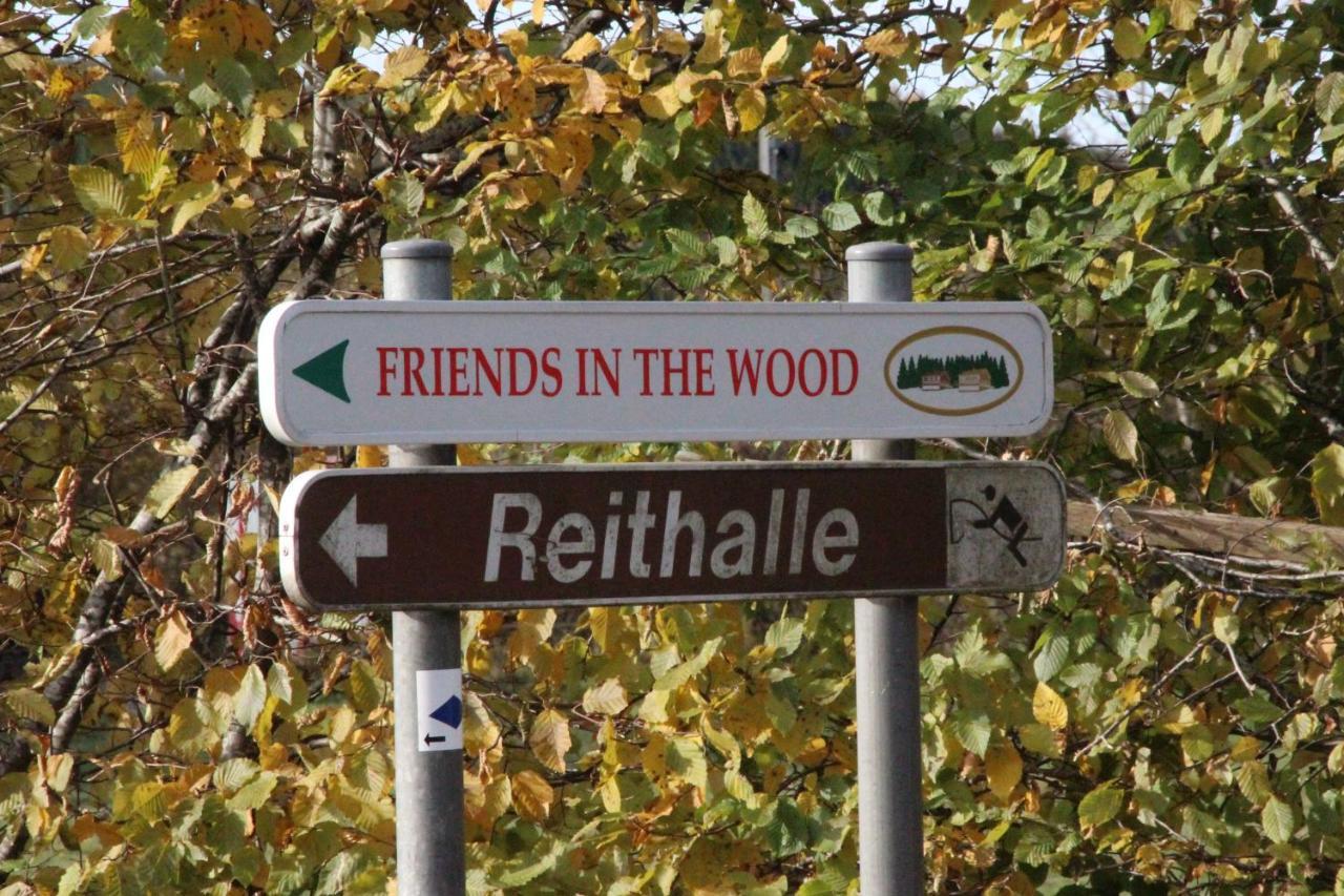 Le Nid Des Mesanges Villa Büllingen Buitenkant foto