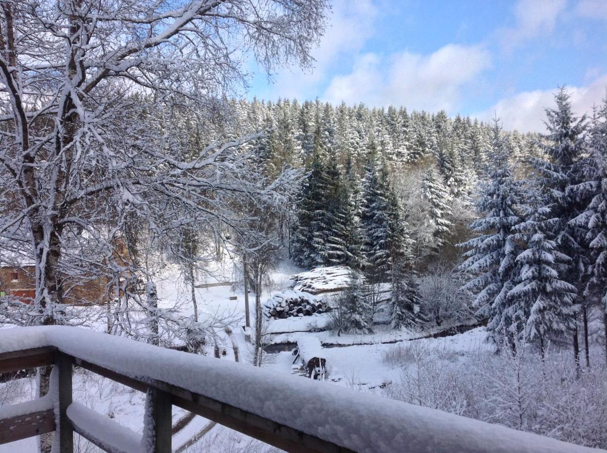 Le Nid Des Mesanges Villa Büllingen Buitenkant foto