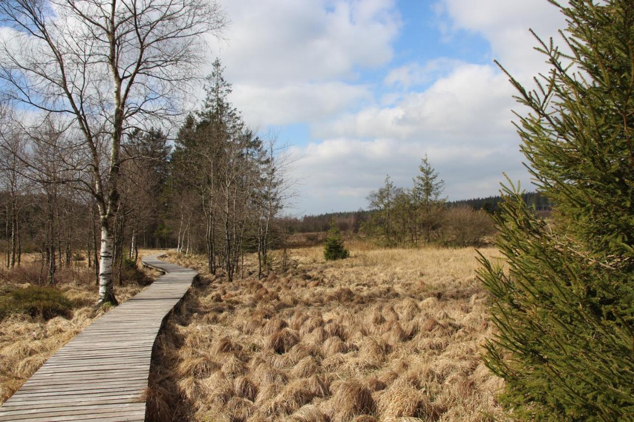 Le Nid Des Mesanges Villa Büllingen Buitenkant foto