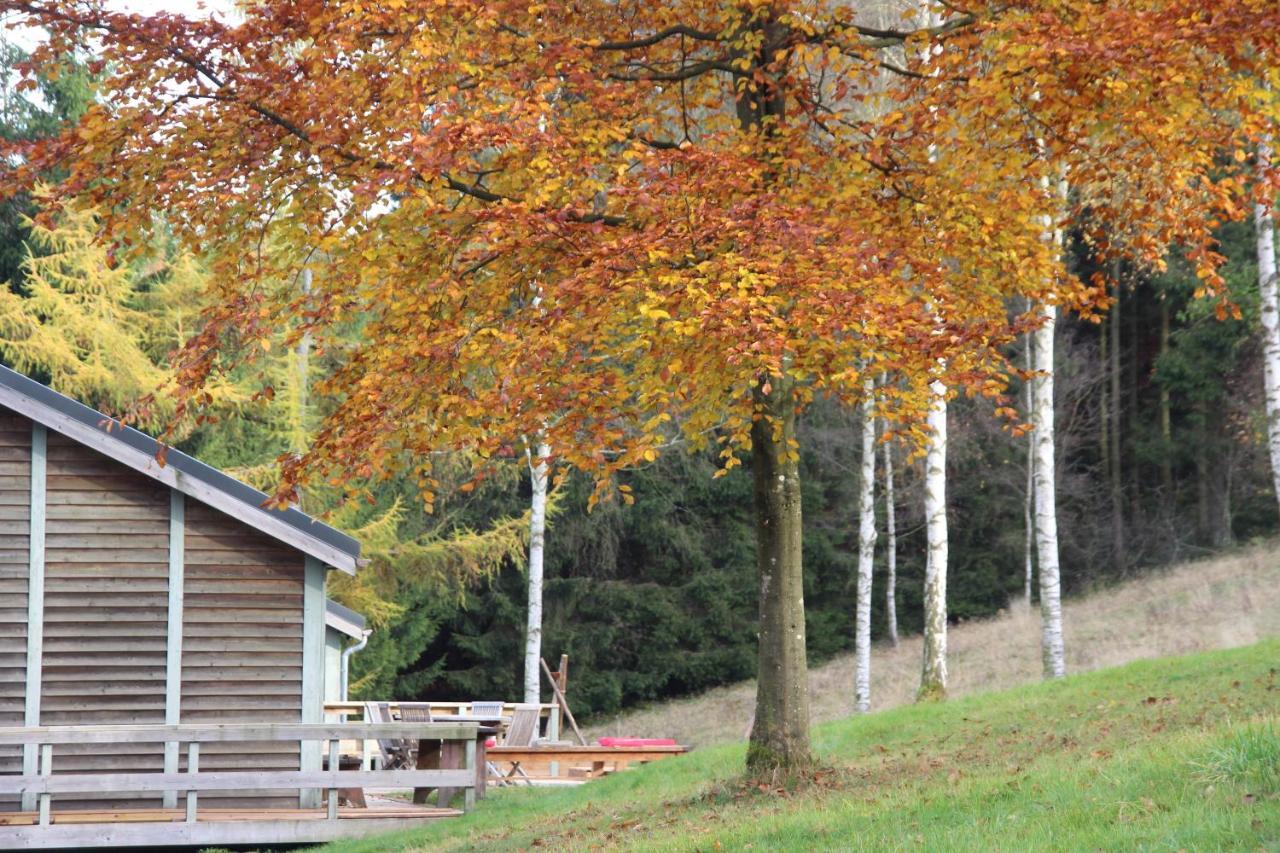 Le Nid Des Mesanges Villa Büllingen Buitenkant foto