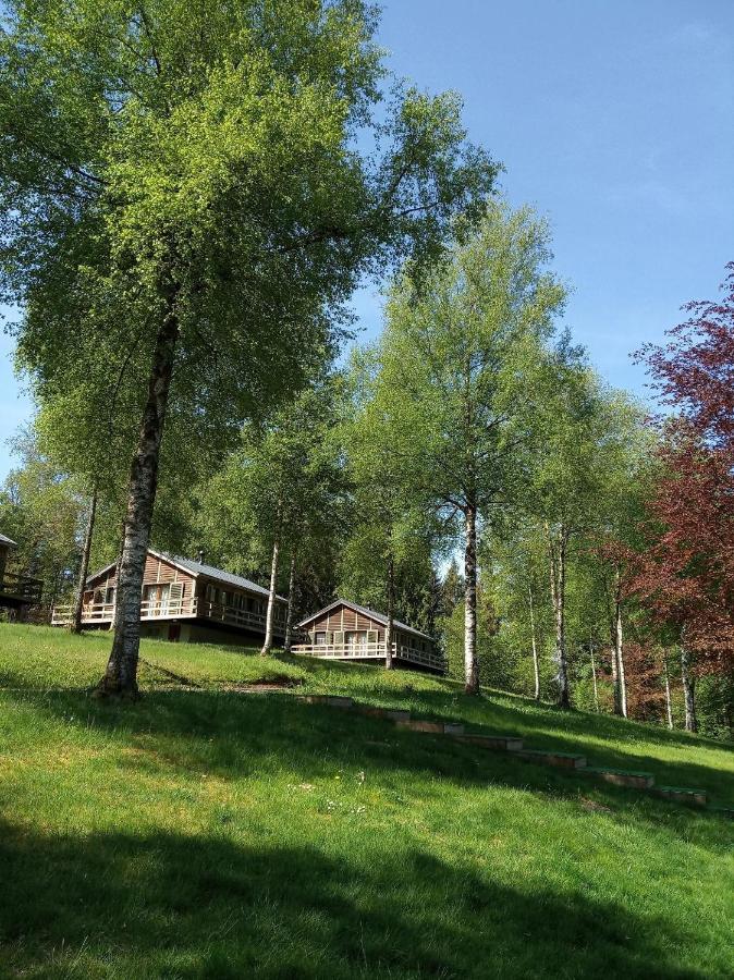 Le Nid Des Mesanges Villa Büllingen Buitenkant foto